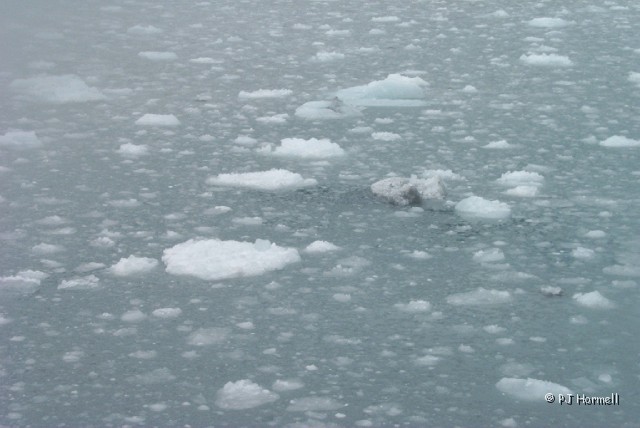 P0002439_AK_KenaiFjords_Iceberg.jpg - Icebergs - Some of the ice from the glacier calving. ~June 28, 2004, Kenai Fjords National Park Cruise - Seward, Alaska