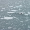 P0002439_AK_KenaiFjords_Iceberg