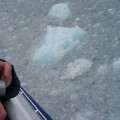 P0002445_AK_KenaiFjords_Iceberg