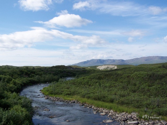 100_3438_AK_RichardsonHwy_GulkanaRiver.jpg - Gulkana River - This stream was very clear and had spawning salmon. ~July 17, 2004, Mile Marker 190, Richardson Highway - Alaska