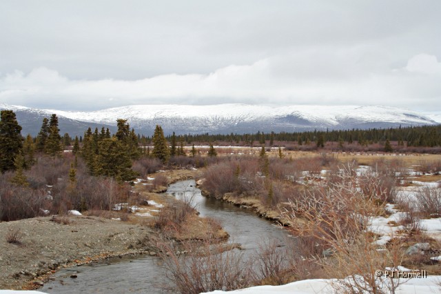IMG_1022_YT_Whitehorse_Creek&Mtns.jpg - Peacful river scene across from the frozen lake.  Whitehorse, Yukon Territory, Canada.  ~May 18, 2006
