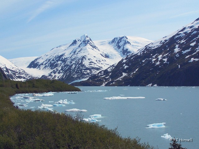 100B9040c_AK_PortageGlacier_Icebergs.JPG - Portage Glacier  near Whittier, Alaska  ~June 5, 2006