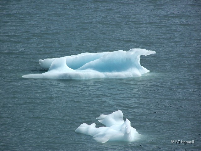 100B9100_AK_PortageGlacier_Icebergs.JPG - Some of the interesting shapes of the icebergs. Portage Glacier, Whittier, Alaska  ~June 5, 2006