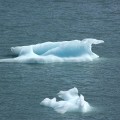 100B9100_AK_PortageGlacier_Icebergs