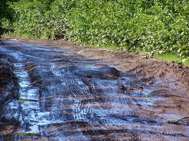 100_1499_AK_TrapperCreek_Road.JPG - More potholes in Petersville Road and it kept getting worse. Trapper Creek, Alaska  ~July 2, 2006