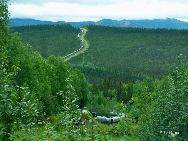 100_1607_AK_Fairbanks_Pipeline.JPG - The Alaska Pipeline snaking across the hillls, seen from the James Dalton Highway, Fairbanks, Alaska.  ~July 16, 2006