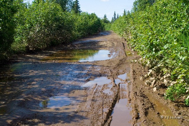 IMG_1977_AK_TrapperCreek_Road.jpg - We could lose the Jeep in some of the potholes... we turned around shortly after this. Petersville Road.  Trapper Creek, Alaska  ~July 2, 2006