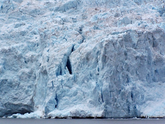 100_0821_AK_KenaiFjordsNP_Glacier.JPG - Holgate Glacier - Kenai Fjords National Park, Seward, Alaska  ~June 21, 2006