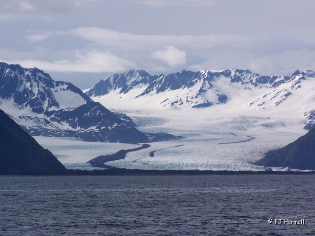 100_0891_Ak_KenaiFjordsNP_Glacier.JPG - Bear Glacier - Kenai Fjords National Park, Seward, Alaska  ~June 21, 2006