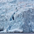 100_0821_AK_KenaiFjordsNP_Glacier