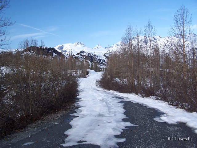 100_8435_AK_Valdez_ThompsonPass.JPG - Snow on the Trail - Still snowed in on this trail near Thompson Pass.  Valdez, Alaska  ~May 26, 2006