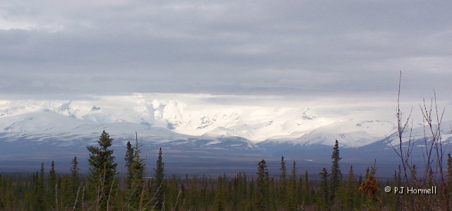 100_8348c_AK_Slana_MtSanford.jpg - This is either Mount Sanford or Mount Drum - not sure which one.  Milepost 56.5 on the Tok Cutoff near Slana, Alaska.  ~May 21, 2006