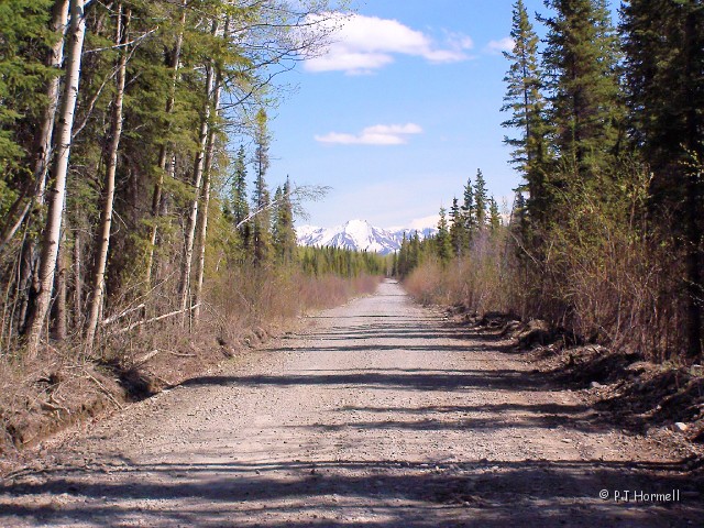 100_8420_AK_WrangellNP_McCarthyRd.JPG - McCarthy Road, Wrangell-St. Elias National Park, Glennallen, Alaska ~May 23, 2006