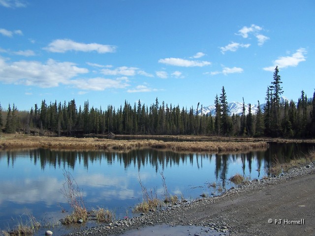 100_8426_AK_WrangellNP_LakeReflection.JPG - Cloud reflections in a small peaceful pond.  McCarthy Road, Wrangell-St. Elias National Park, Glennallen, Alaska ~May 23, 2006