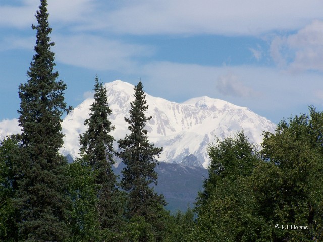 100_3307_AK_ParksHwy_MtMcKinley.jpg - A clear view of Mount McKinley. Had to captured it while we had a chance. ~July 10, 2004, Parks Highway - Alaska