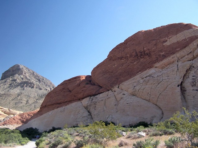 100_4876_NV_RedRockCanyon_Scene.jpg - Red Rock Canyon, Nevada ~May 14, 2005