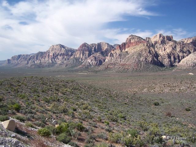 100_4884_NV_RedRockCanyon_Scene.jpg - Red Rock Canyon, Nevada ~May 14, 2005
