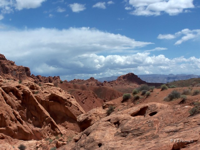 100_4842_NV_ValleyOfFire_Scene.jpg - The storm has passed. Valley of Fire State Park, Nevada ~May 10, 2005