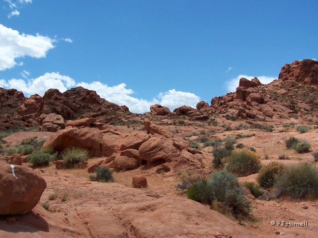 100_4846_NV_ValleyOfFire_Scene.jpg - Valley of Fire State Park, Nevada ~May 10, 2005
