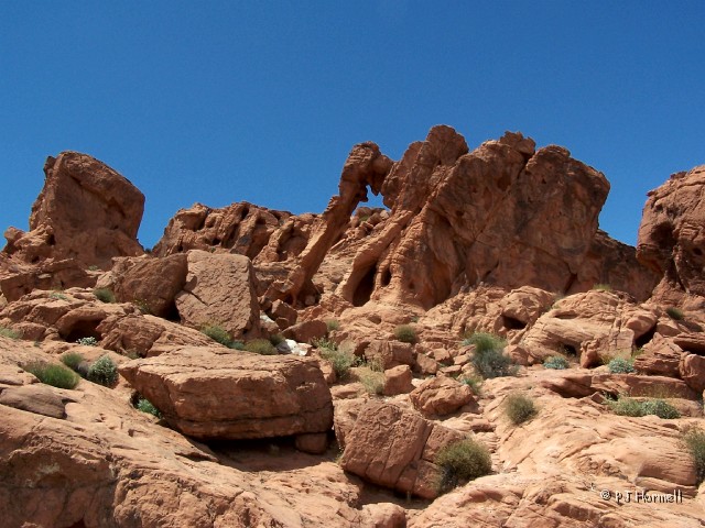 100_4848_NV_ValleyOfFire_Scene.jpg - Elephant Rock - Valley of Fire State Park, Nevada ~May 10, 2005