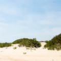 IMG_6313p_NC_OuterBanks_Dunes