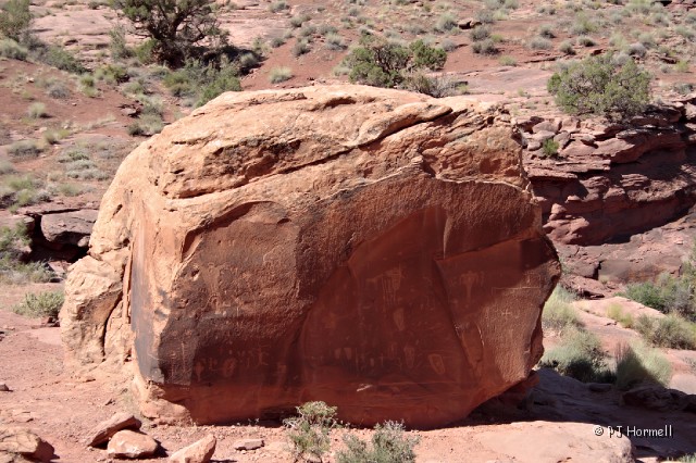 IMG_3172_UT_Moab_Petroglyphs.jpg - Petroglyphs on a large boulder along Kane Creek Road, Moab, Utah.  ~June 22, 2007